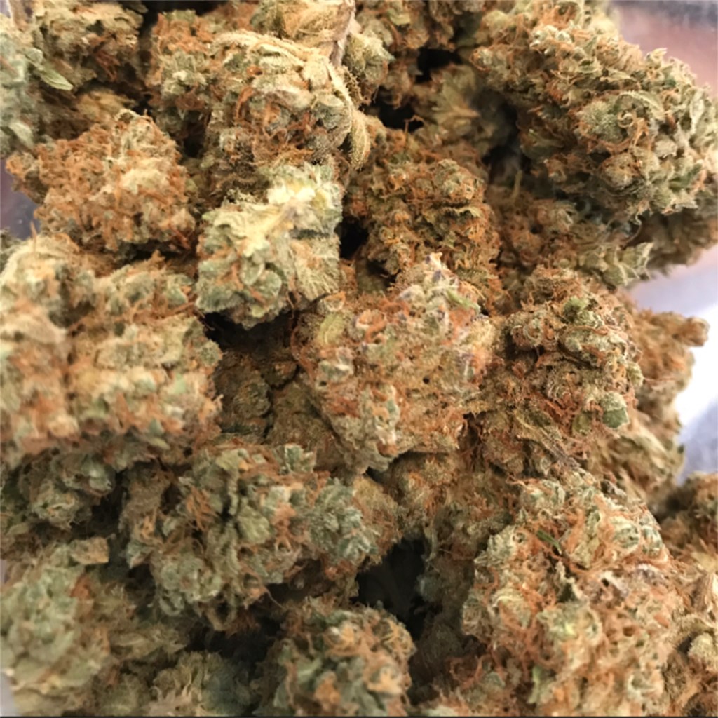 Blue-Cookies-1-2-1.jpg Blue Cookies - Image 1