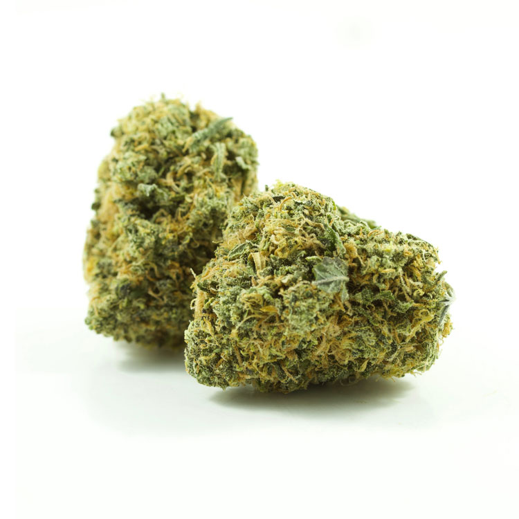 Grease-Monkey-2-1.jpg Grease Monkey - Image 1
