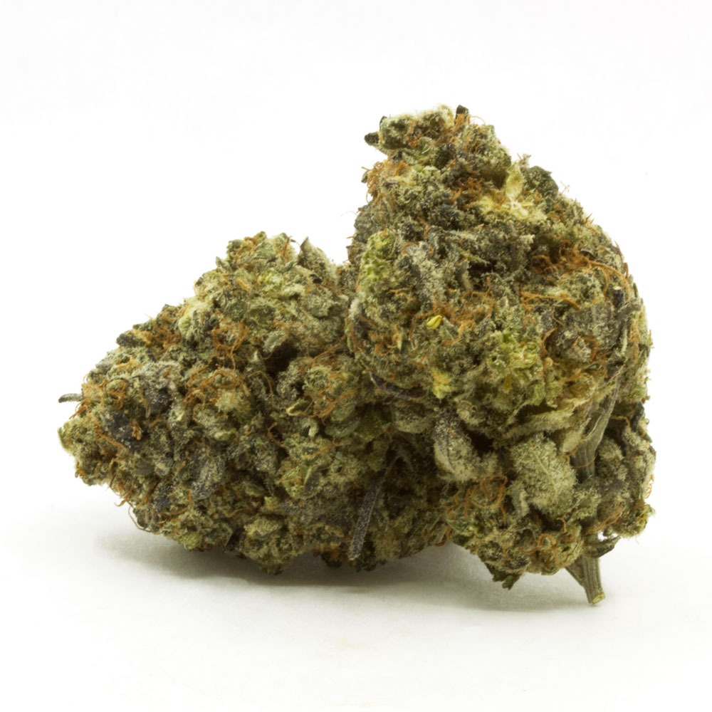 Zeus-OG-1-2-1.jpg Zeus OG - Image 1