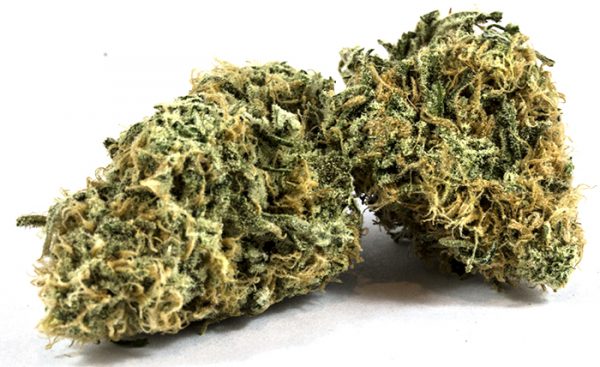 Zombie-Kush-600x367-1-2-1.jpg Zombie Kush - Image 1
